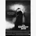 David Lynch The Elephant Man