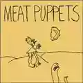 Meat Puppets In A Car