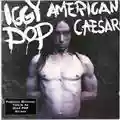 Iggy Pop American Caesar