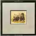 The Stills-Young Band Long May you Run