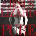 The Jesus Lizard Pure
