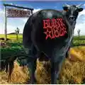 Blink-182 Dude Ranch
