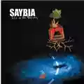 Saybia Eyes On The Highway