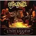 Aerosmith Live Unplugged