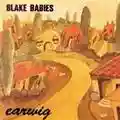 Blake Babies Earwig