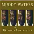 Muddy Waters The Ultimate Collection
