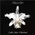 Kings Of Leon Aha Shake Heartbreak