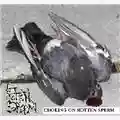 Rotten Sperm Choking On Rotten Sperm