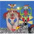 Super Furry Animals Hey Venus!