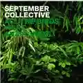 September Collective All the Birds Were Anarchists