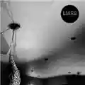 Liars Liars