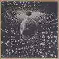 Neil Young & Pearl Jam Mirror Ball