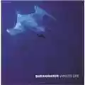 Shearwater Winged Life