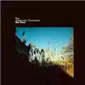 The Cinematic Orchestra Ma Fleur