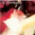 The Dream Syndicate Live at Raji's