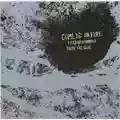 Comets on Fire Field Recordings From the Sun