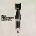 Foo Fighters Echoes, Silence, Patience & Grace