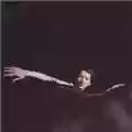 My Brightest Diamond Bring Me the Workhorse