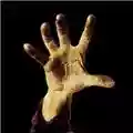 System of a Down System of a Down