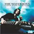 The Waterboys A Rock In The Weary Land