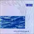 Tortoise Millions Now Living Will Never Die...