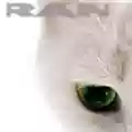 RAN RAN
