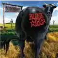 Blink 182 Dude Ranch