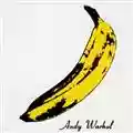 The Velvet Underground Velvet Underground and Nico