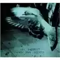 Vic Chesnutt North Star Deserter
