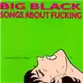 Big Black Songs About Fucking
