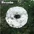 Bonobo Days To Come