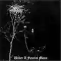 Darkthrone Under a Funeral Moon
