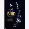 Clint Eastwood Bird