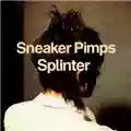 Sneaker Pimps Splinter