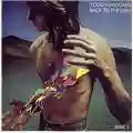 Todd Rundgren Back To The Bars