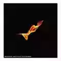 Turin Brakes Dark On Fire
