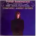Todd Rundgren The Ever Popular Tortured Artist Effect