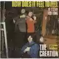 Creation If I Stay Too Long
