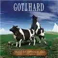 Gotthard Made In Switzerland