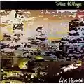 Steve Hillage Live Herald
