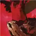 Warlocks Heavy Deavy Skull Lover
