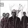 Tom Petty And The Heartbreakers Echo