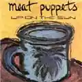 Meat Puppets Up On The Sun