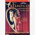 David Lynch Fuoco Cammina Con Me