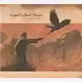 Crippled Black Phoenix A Love Of Shared Disaster