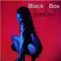 Black Box Dreamland