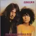 Tyrannosaurus Rex Unicorn