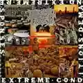 Brutal Truth Extreme Conditions Demand, Extreme Responses