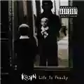 Korn Life Is Peachy