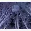 Despond Supreme Funeral Oration